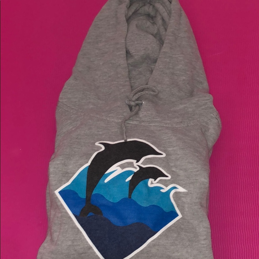 Grey dolphin hoodie